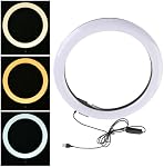 Ring Light, 12" 12W USB Circle Light 160 Lamp Chip Adjustable Color Temperature 3200K 5600K Fill Light for Makeup Live Streaming Video