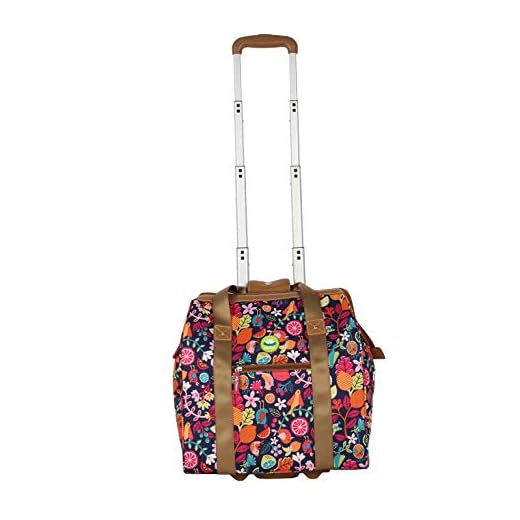 Can you put fruits in carry on luggage Lily Bloom Under the Seat Tote Bag