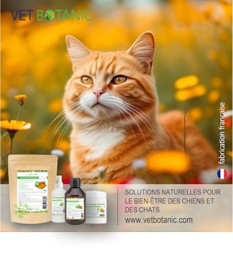 Kurkuma Hund und Katze – Nahrungsergänzungsmittel für Gelenke und Verdauung Vet Botanic