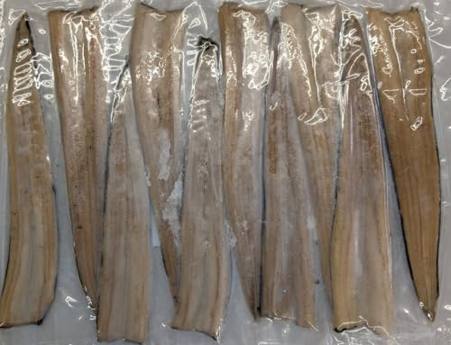 όq { 500g ×20o P10 Ⓚ Ɩp