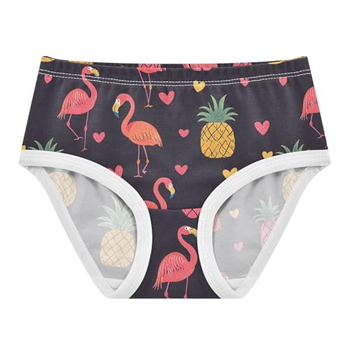 Wusikd Flamingos Pineapples Girls' Underwear Cotton Pink Girls Briefs Soft Toddler Underwear 2T