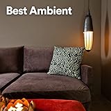 Ambient 1 Records