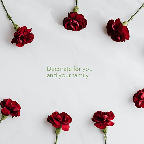 Red Carnations by Rumhora Greens | Fresh Cut Flowers | Two Bunches 25 Stems Each