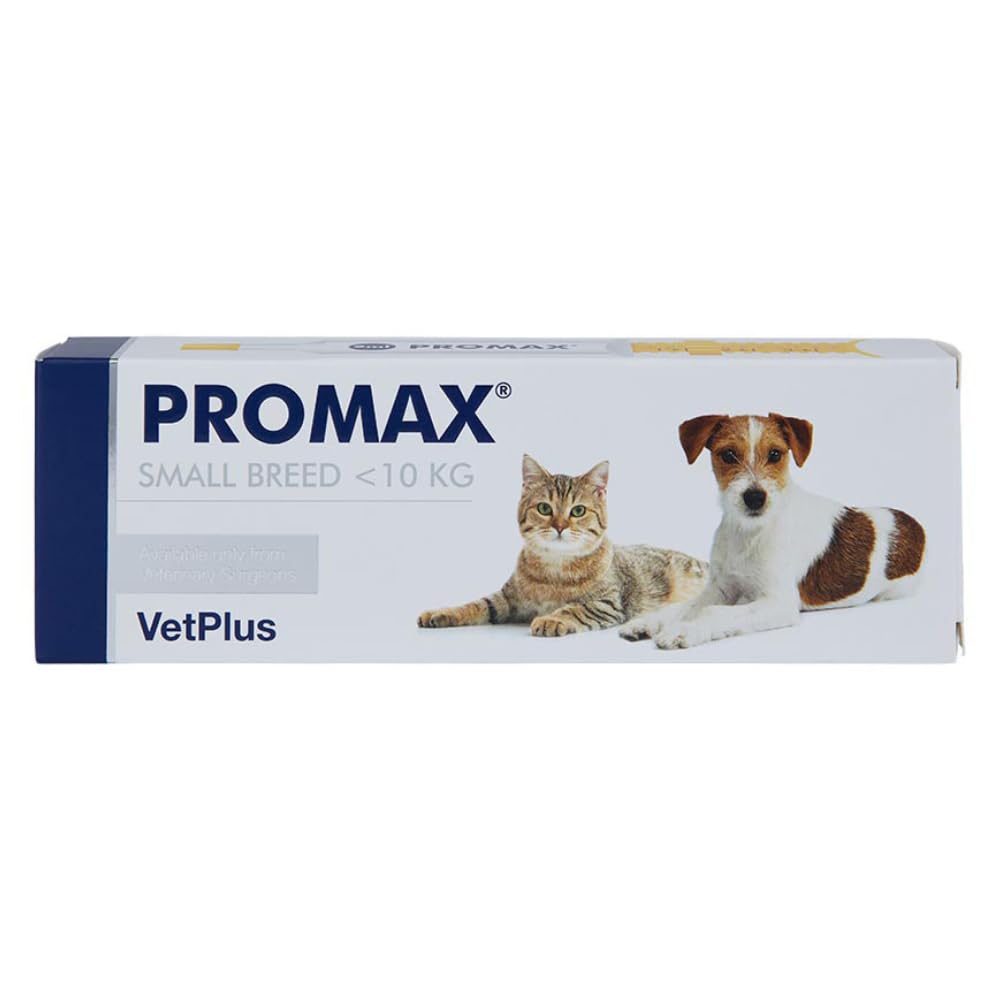 PROMAX Digestive Function Support for Dogs and Cats | Small Breed Dogs and Cats <10kg | 1 x 9ml Syringe