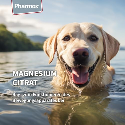 Pharmox Magnesiumcitrat für Hund & Katze 250 Gramm - Hochdosiert - Magnesium - Pulver - Ist gut für die Muskelfunktion - Für den Erhalt starker Knochen