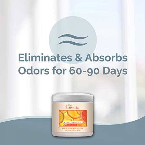 Clear Air Odor Absorber Gel - Air Freshener - Absorbs And Eliminates Odors In Bathrooms, Cars, Boats, Rvs And Pet Areas - Made With Essential Oils - Citrus Grove Scent - 15 Ounce - 2 Pack #TOP1
