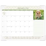 AT-A-GLANCE 2026 Puppies 21.75' x 17' Monthly Desk Pad Calendar (DMD166-32-26)