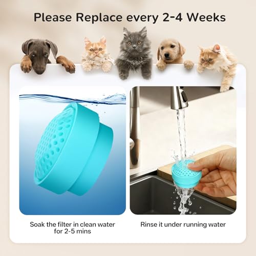 Image of 6 Packs Cat Fountain Filters & 6 Sponge Sets-Compatible with Cepheus 2.7L Glass Pet Fountain
