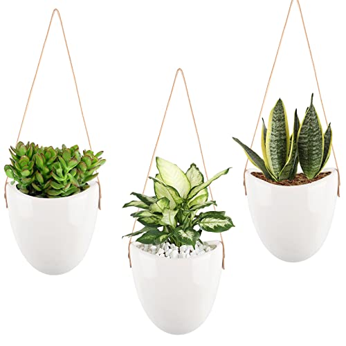 DaizySight Macetas Colgantes de Pared para Interiores para Plantas suculentas, cerámica pequeño para decoración de Pared para el hogar (Plantas Artificiales no Incluidas), Blanco, Paquete de 3