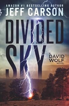 Paperback Divided Sky: David Wolf Mystery Thriller Series Book