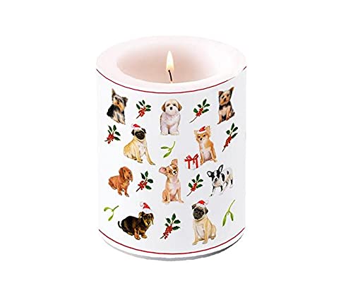 1 candela cm 17 Albero di Natale con uccellino