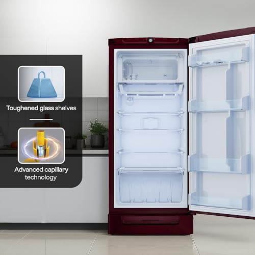 Image of Godrej 234 L 5 Star 5 Years Comprehensive Warranty Hygiene+ Inverter Technology 2.25L Bottle Space Direct Cool Single Door Refrigerator (RD EDGEPRO 255E TAI MN WN, Marine Wine)