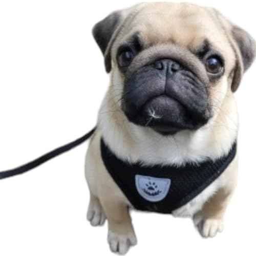 Coleira Peitoral Anti Puxão com Guia para Cães e Gatos – Ideal para Filhotes, Pinscher, Shi Tzu e Ra