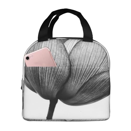 fM`obO e h MRh~ X^CbVŏv dAwZAAEghAɕ֗ jp (Rɉf锒̃JtȉԂ̘@)