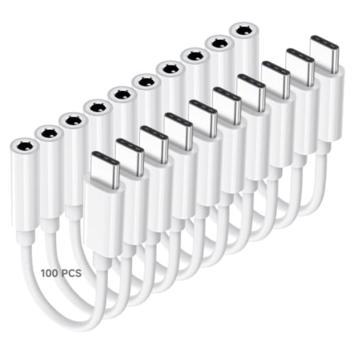 Câble auxiliaire de type C pour iPhone 15 et Samsung S24 en voyage de groupe