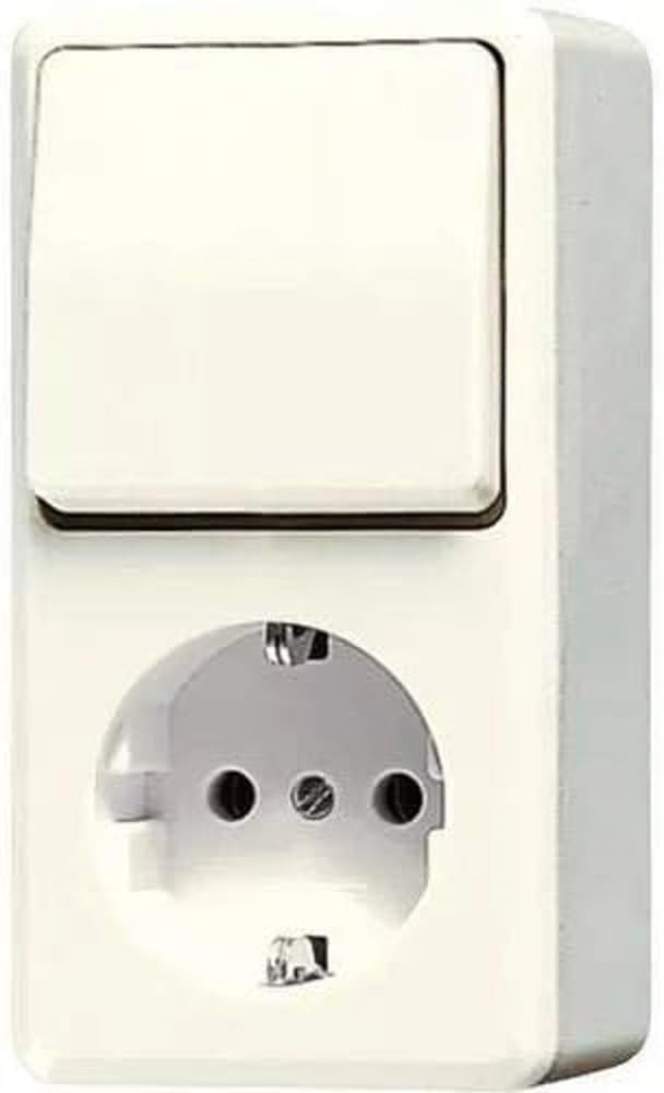 Jung 676A prise Schuko avec interrupteur gris standard pour installation murale