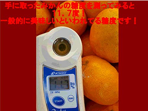 kanneyanaさん専用、箱込み10キロ、訳あり 訳あり それでも みかん 箱込 10kg ( 内容量 9.2kg ) サイズミックス B