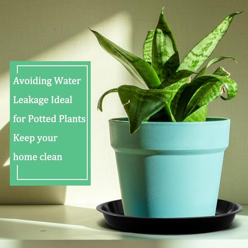 Soucoupes pour pot de fleurs Eccliy grand format plastique robuste 25,4 cm intérieur
