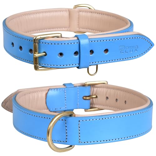 Image of Genuine Leather Dog Collar, Blue, Medium, Brass Buckle, Padded | 1 Inch Wide, Fit Neck Size - 14.5 inch - 18.5 inch, Double D Ring, Adjustable, Thick Leather, Heavy Duty, Soft Leather padding