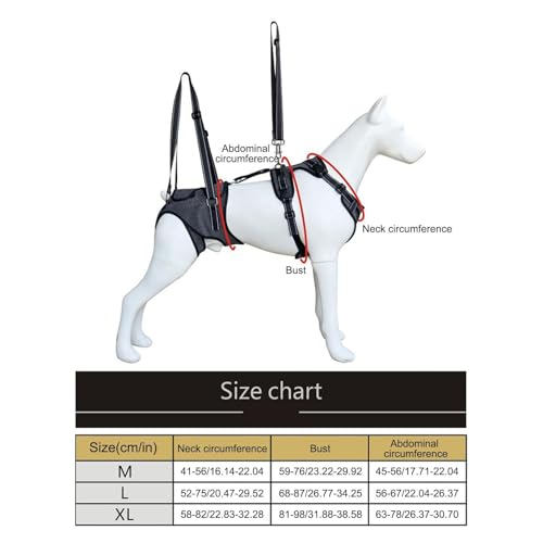 Aide déplacement confortable pour chien âgé avec harnais de levage corporel