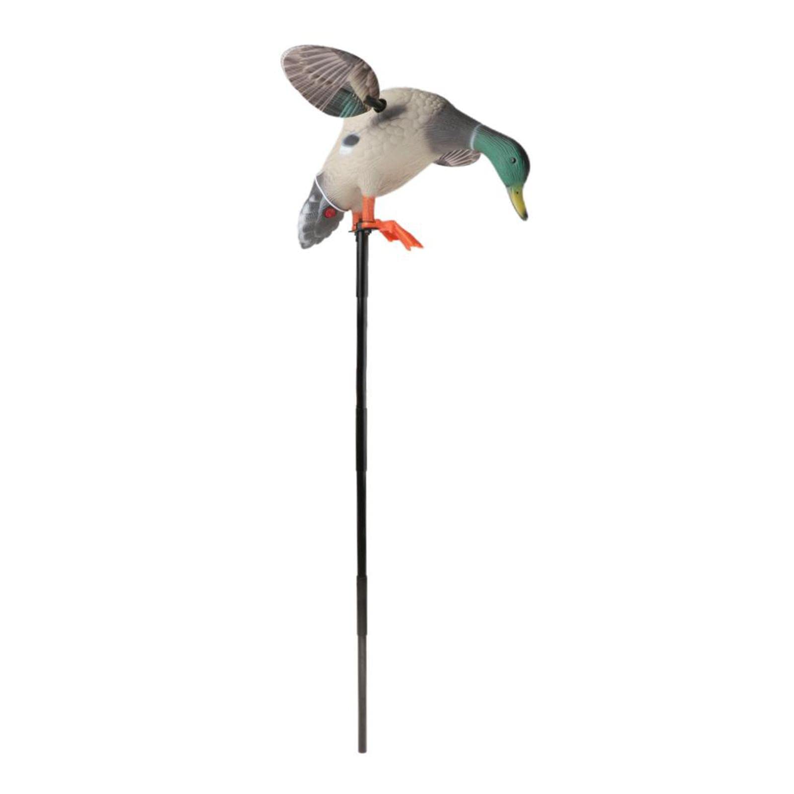 Esca Elettrica per Anatra Mallard con Telecomando