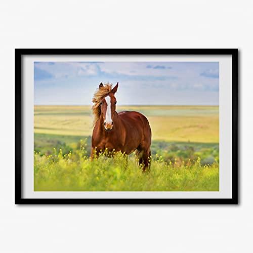 Cadre en bois moderne 70x50 cm avec affiche peinture cheval brun tableau decoration murale Tulup
