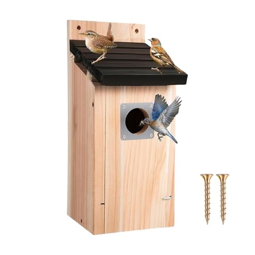 Nichoirs pour l'extérieur pour observer les oiseaux depuis votre fenêtre