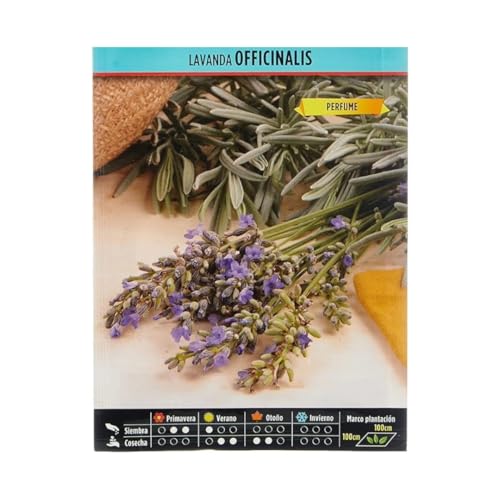 Semillas Horticolas - Lavanda officinalis