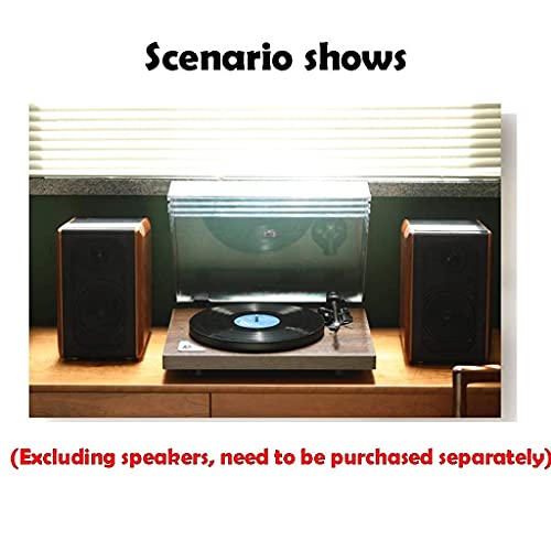 Tourne-disque multifonction portable phonographe avec haut-parleurs stéréo intégrés 33/45 tr/min, 2 vitesses, tourne-disque vinyle avec haut-parleurs, pour toutes les familles - Les Beatles, Paul McCartney, John Lennon, RIngo Starr, George Harrison Tourne-disque multifonction portable phonographe avec haut-parleurs stéréo intégrés 33/45 tr/min, 2 vitesses, tourne-disque vinyle avec haut-parleurs, pour toutes les familles – Image 8