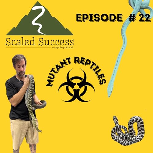 #22 Kevin Baron of Mutant Reptiles: Diversifying from Geckos to Hognose, Baron's Racers & More!