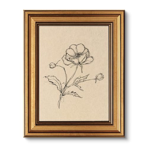Image of VIYYIEA Vintage Gold Framed Wall Art for Living Room, Poppy Canvas Prints Home Decor, Sketch Painting Picture, Bedroom Wall Decor Gifts for Friends or Family -【Poppy】-(10L x 8W)