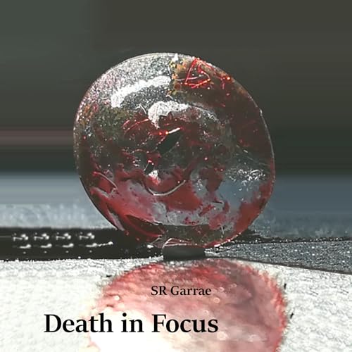 Death in Focus cover art