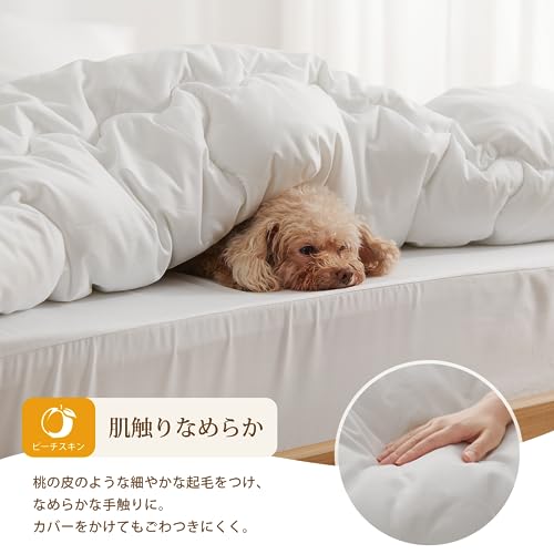 ATOKAZO 掛け布団 シングル の商品画像 3