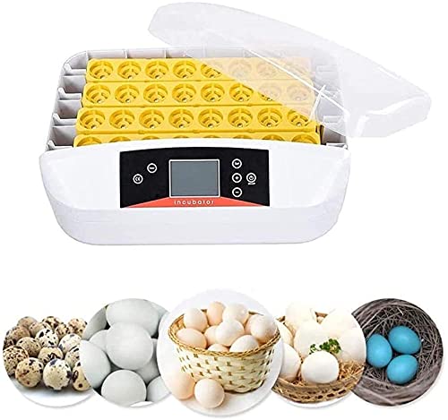 32 Digitale ei-incubators met LED-testen Lichte temperatuur Vochtigheidscontrole voor het uitkomen van kippeneend Goose… - Afbeelding 7