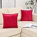 QUALKNOY Kissenbezüge Samt Kissenhülle 16x 16Inch Kissenbezug Dekokissen Dekorativ Weich Sofakissen Couchkissen für Sofa Schlafzimmer mit Verstecktem Reißverschluss 40x40 cm 2er Set Rot