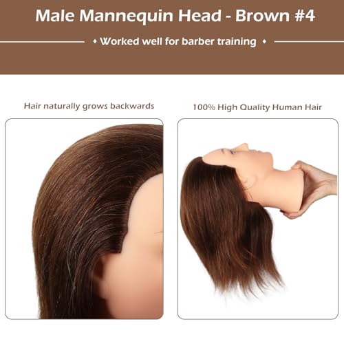 DaizySight Mann Frisierkopf 100% Echthaar, Frisurenkopf Männlicher Haarschnitt Übungskopf mit Braun Haar, Friseur Kopf Mannequin Head Puppenkopf mit Tischklemme (35 cm)