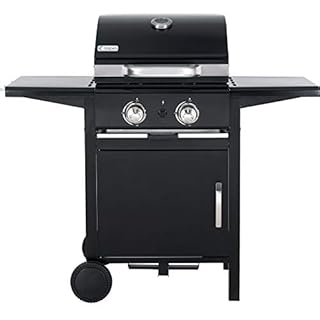 tepro Gasgrill Mayfield 2 mit 2 hochwertigen, leistungsstarken Edelstahlbrennern, verchromten Grillrosten (Rost-in-Rost-System), großer Warmhaltefläche, integriertem Thermometer im Deckel und praktischen Seitenablagen, Maße ca. 112 x 58 x 100 cm