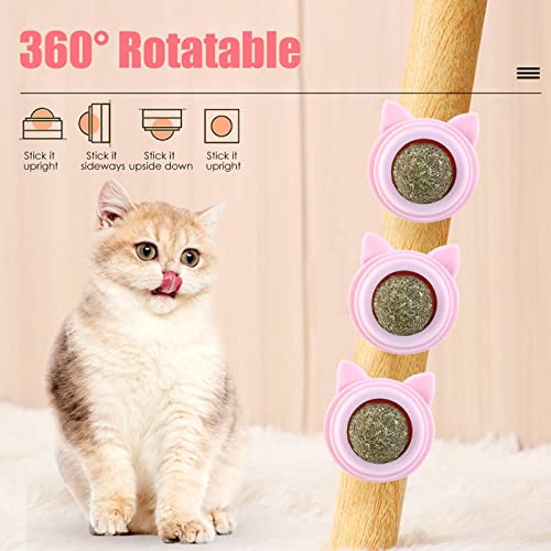 Bolas de Catnip Silver Vine,Dentes de moagem seguros e confiáveis ​​Limpo Catnip Toy - Brinquedos pr