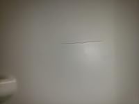 Review Image by Chad S. Chad S.