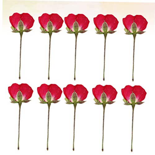 VILLCASE 12 Pçs Flores Secas Prensadas Materiais De Scrapbook Materiais Para Uñas Preservando Flores