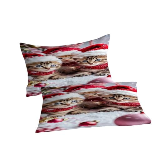 Housse de couette Noël imprimé chatons 3 pièces le cadeau parfait pour lit double