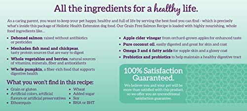 Health Extension Dry Dog Food, Natural Food With Added Vitamins & Minerals, Suitable For All Puppies, Grain Free, Salmon Recipe With Whole Vegetable & Berries (1 Pound) #TOP7