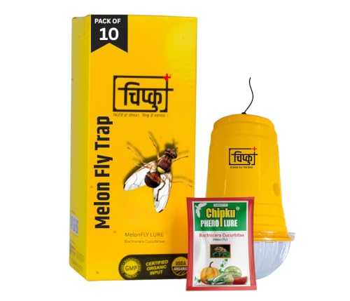Image of Chipku Glass Trap with Melon Fly Lure for Garden & Farm Use to Control cucurbitae | Effective Pest Control for Melon Fly, Bottle Gourd & All Vegetables - Pack of 10