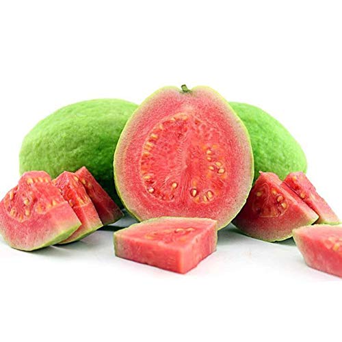 50pcs Semillas de...