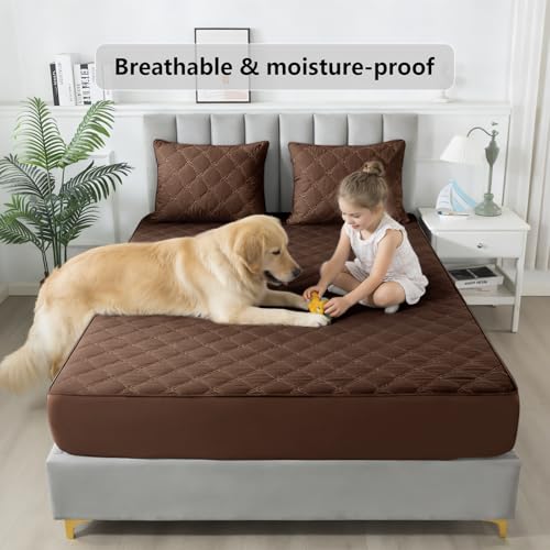 Waterproof Mattress Protector - Queen Size Mattress Pad Silent & Fitted Sheet Style | Full Bed Protection for Kids, Pets, Adults | Hypoallergenic, Machine Washable (Chocolate, Queen) — view 5