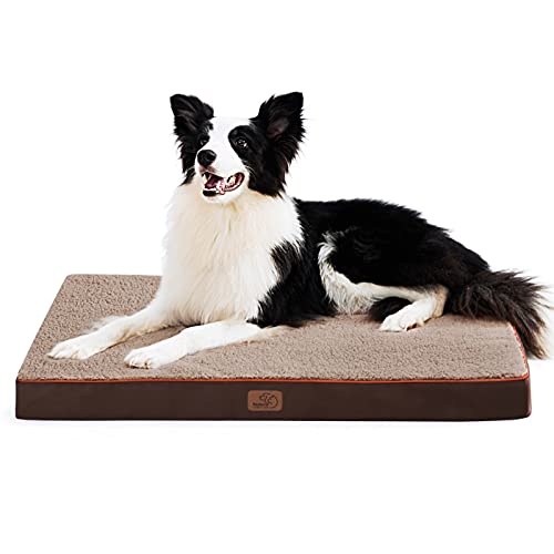 Photo 1 of Bedsure Large Orthopedic Foam Dog Bed for Small