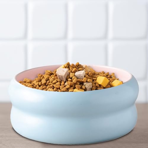 Bol à eau pour chien en céramique blanche épurée - 8