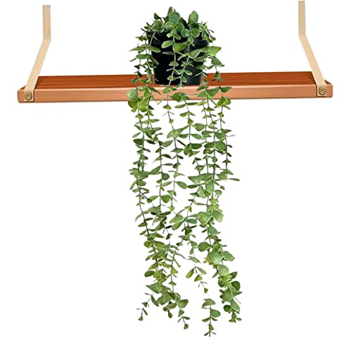 Plante artificielle suspendue Eucalyptus pour déco murale - 3