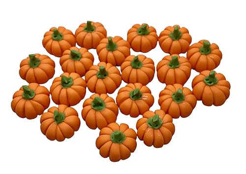 AIICraft 20 Mini Pumpkins Vegetable Fruit Garden Display Minimal Decoration