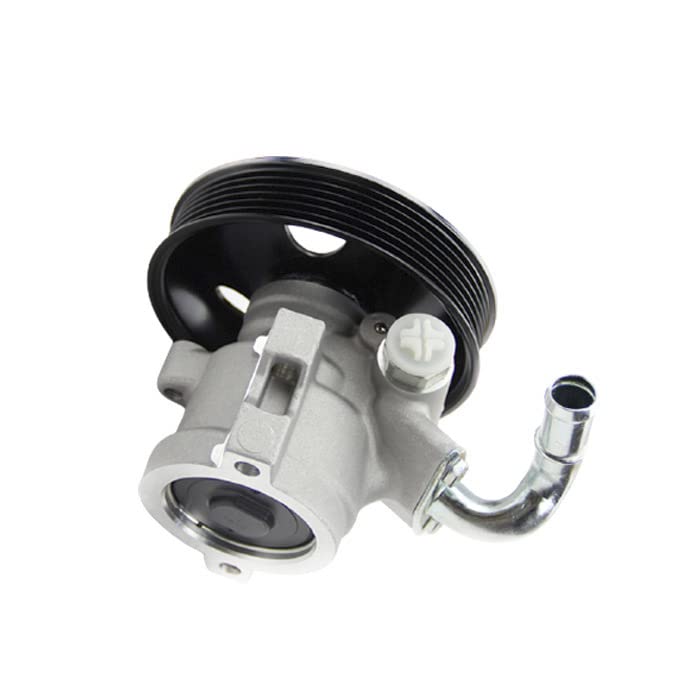 Amazon.com: Lirufeng New Power Steering Pump 25953817 Replacement  
